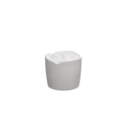 AE500 - Rose Cap
